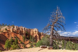 bryce_national_park_img_3971